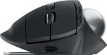 Трекбол Logitech Trackball MX Ergo S графитовый оптическая 2048dpi silent беспров. BT/Radio USB 8but (910-007261) Трекбол Logitech Trackball MX Ergo S графитовый оптическая 2048dpi silent беспров. BT/Radio USB 8but (910-007261)