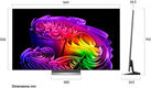 Телевизор OLED LG 65