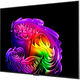 Телевизор OLED LG 55 Телевизор OLED LG 55