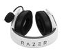 Razer RZ04-03241700-R3M1